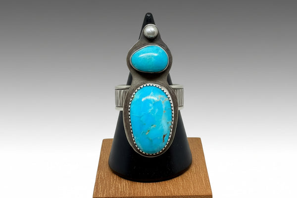 Double Turquoise and silver ring