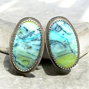 Indonesian opalwood earring studs